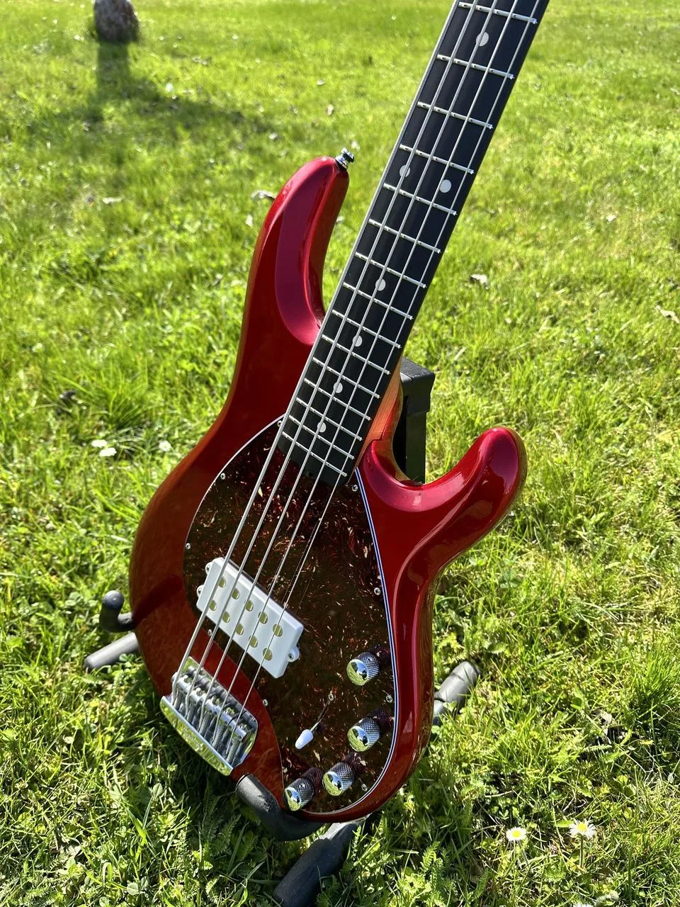 Music Man Special 5 Candyman
