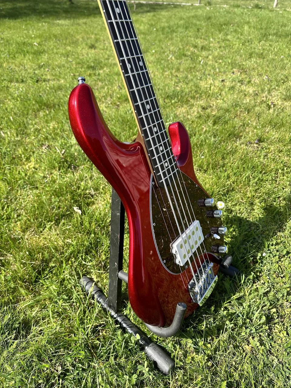 Music Man Special 5 Candyman