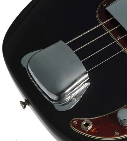 Kryt snímače Rickenbacker a kryt struníku Fender Precision