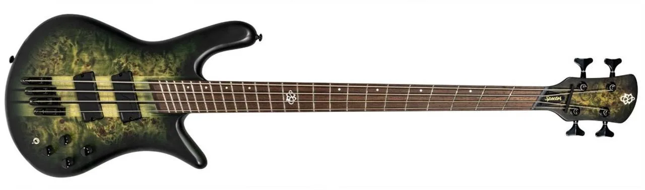Spector NS Dimension 4 (Haunted Moss Matte)