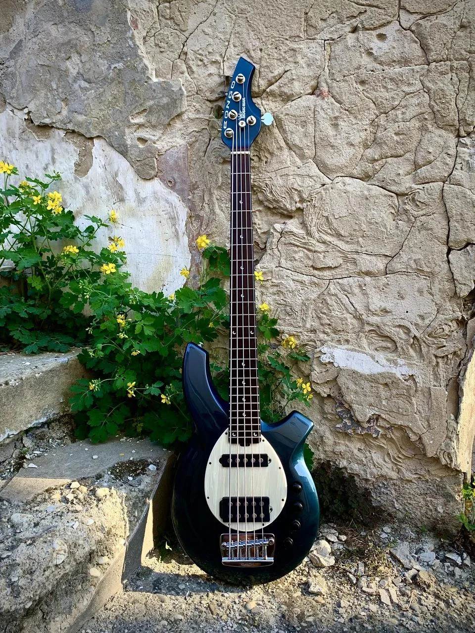 Musicman Bongo 5