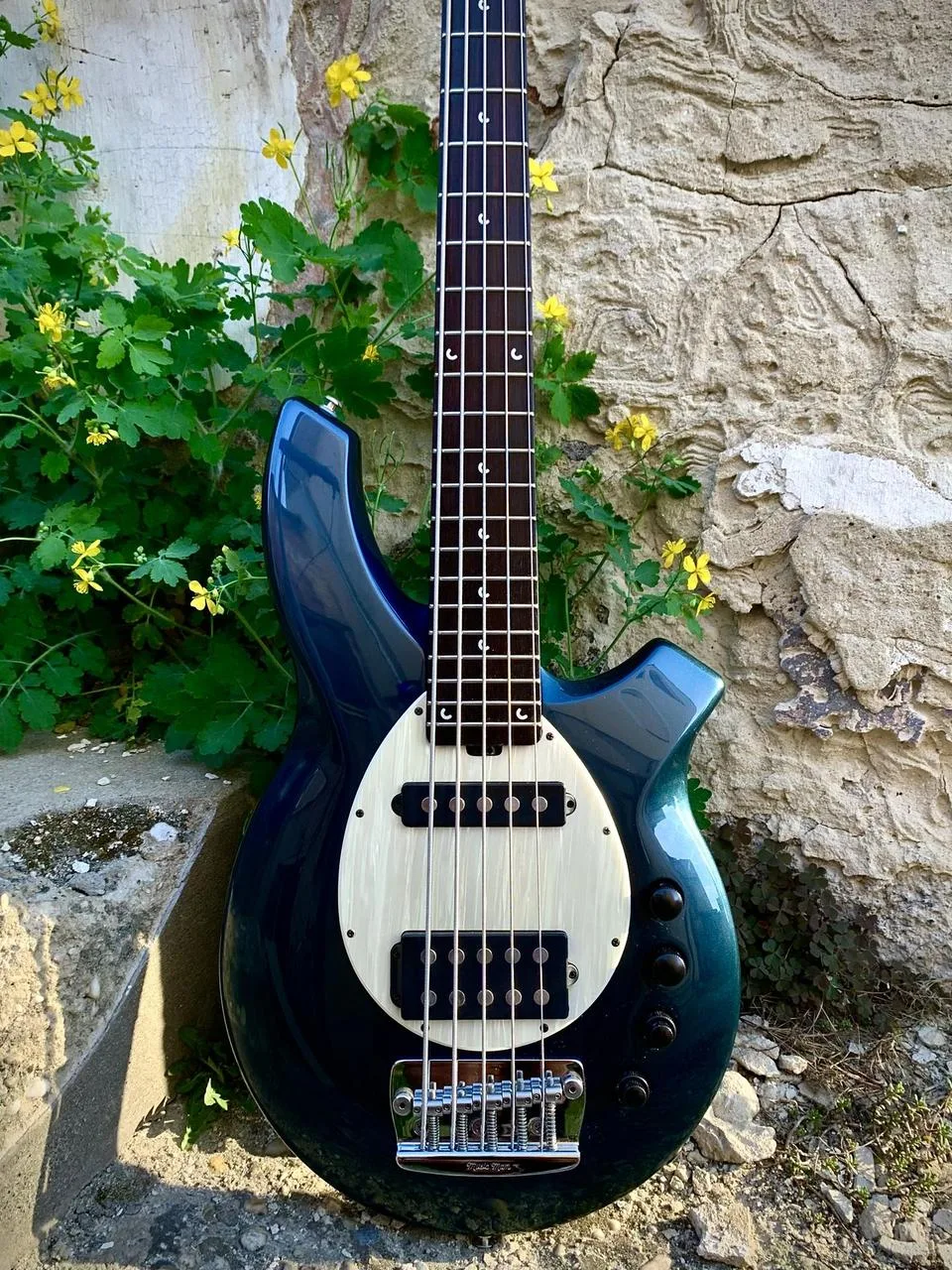 Musicman Bongo 5