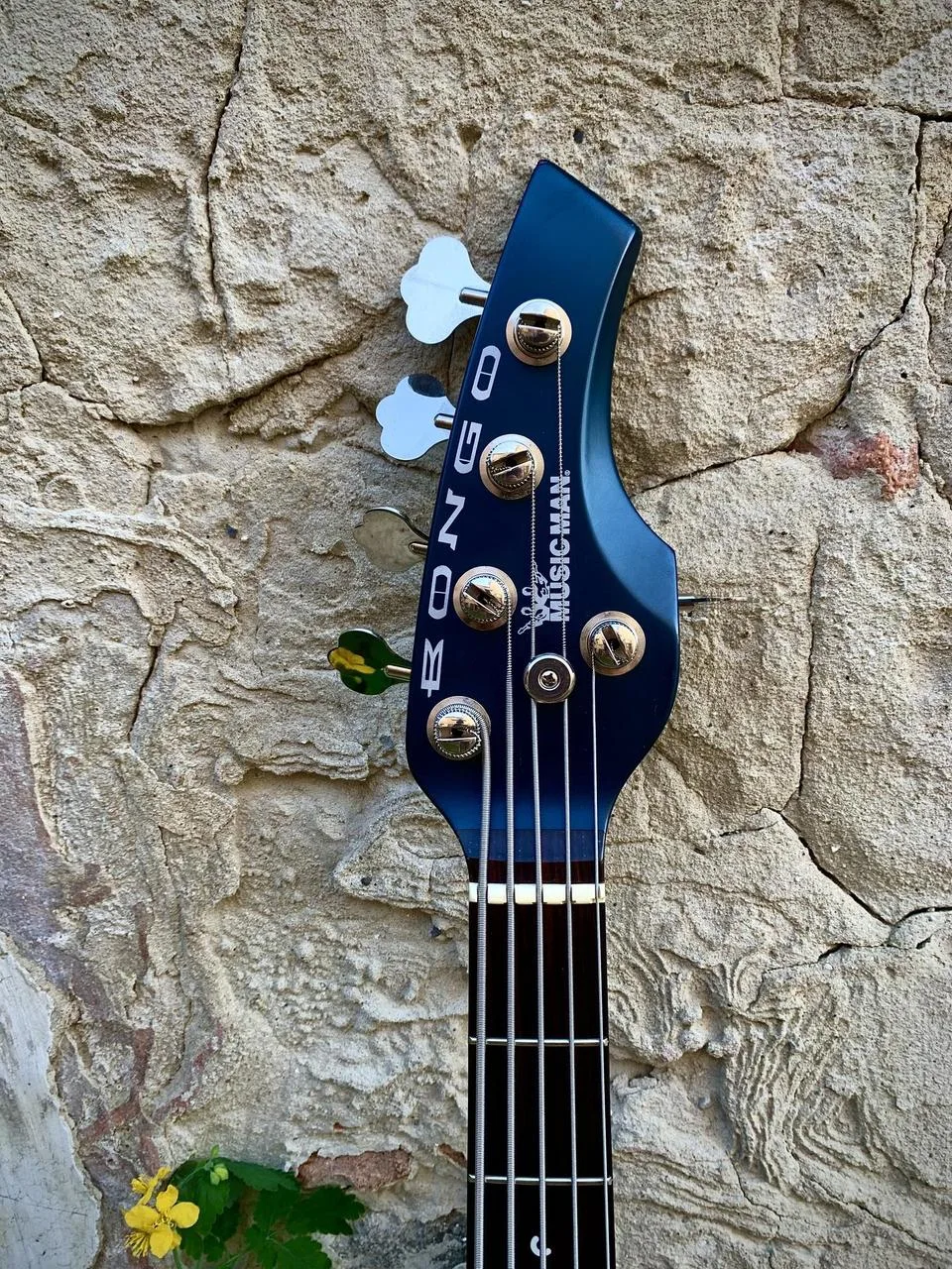 Musicman Bongo 5