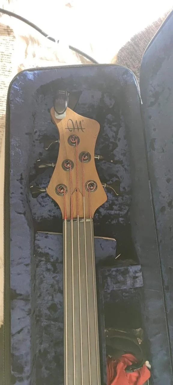 Mayones BE5 fretless