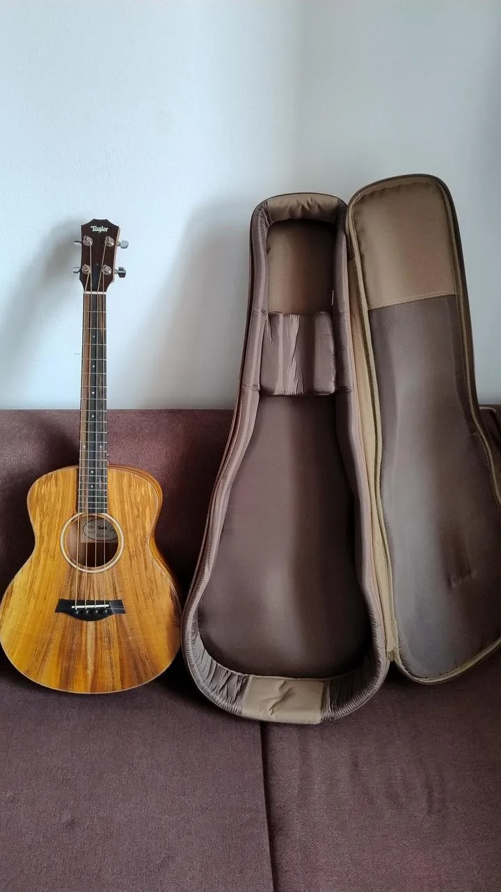 Taylor GS mini KOA-e bass