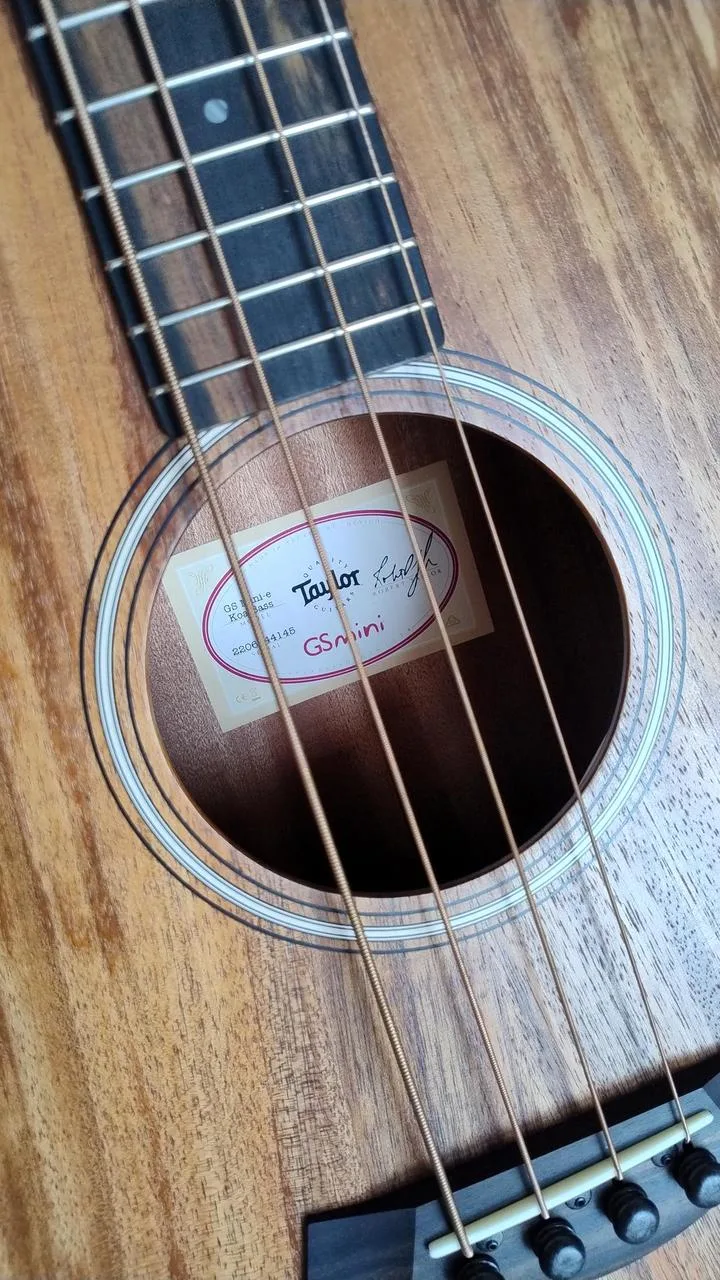 Taylor GS mini KOA-e bass