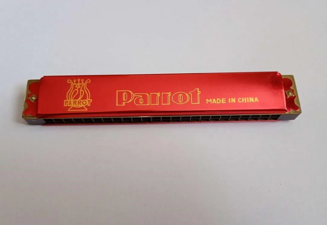 Parrot HD 24 - ladění D dur