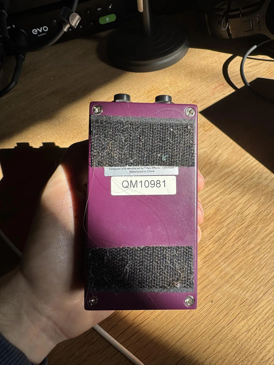 T-Rex Quint Machine
